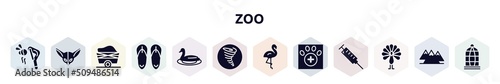 zoo filled icons set. glyph icons such as fatigue, fennec, wagon, sandals, swan, tornado, flamingo, veterinarian, peacock icon.