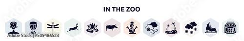 in the zoo filled icons set. glyph icons such as african man, african drum, dragonfly, hare, water lily, rhino, snowman, blizzard, snowy icon.