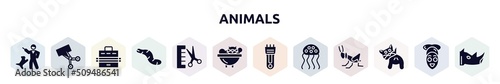 animals filled icons set. glyph icons such as dog training, trimming, pet carrier, worm, groomer, cat bath, hair clipper, jellyfish, anal gland expression icon.