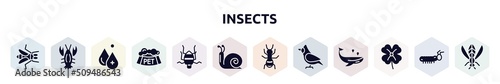 insects filled icons set. glyph icons such as gadfly, lobster, hydrotherapy, pet bowl, bedbug, snail, ant, cardinal, clover icon.