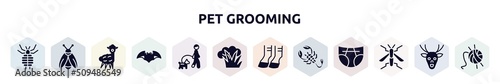 pet grooming filled icons set. glyph icons such as louse, firefly, alpaca, bat, walking the dog, bush, hoof, scorpion, wasp icon.