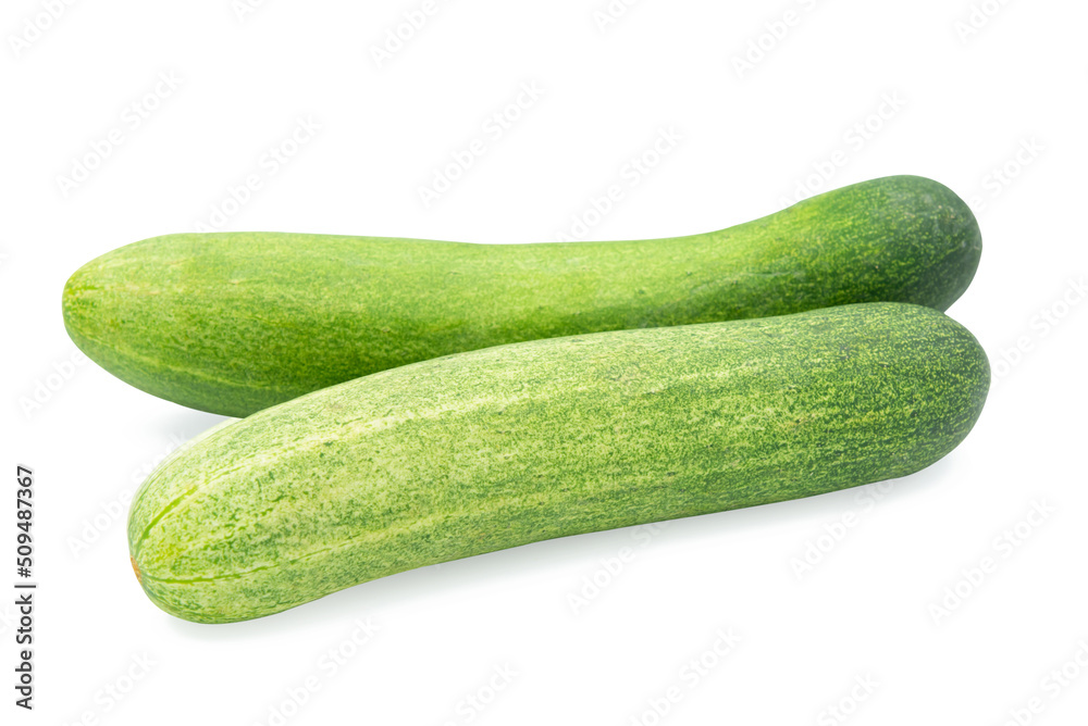 cucumber isolated on white background with clipping path cucumber isolated on white background with clipping path