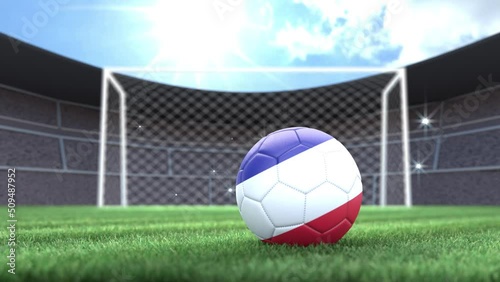 France soccer ball, rolling into stadium with camera flashes. 3D animation