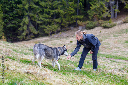 Girl feeding young siberian husky dog in nature forest background