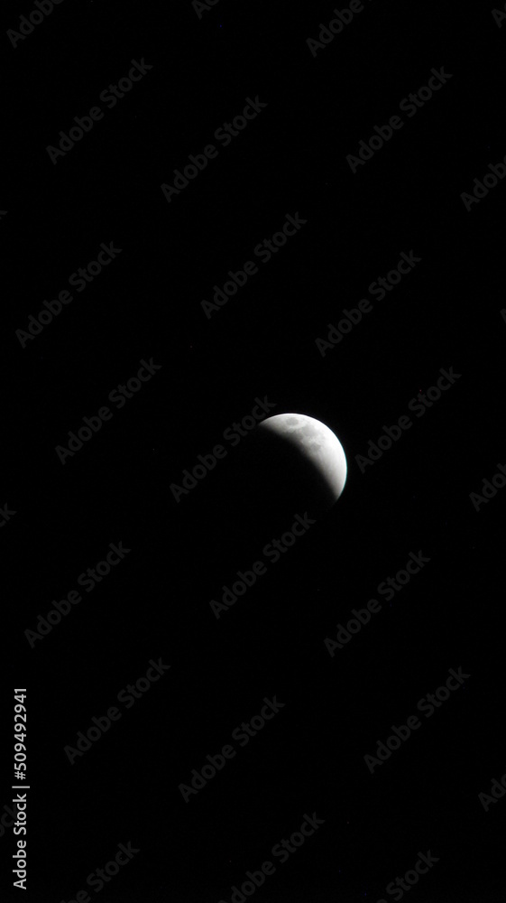moon moon