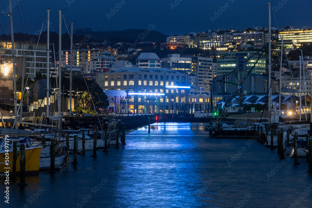 Wellington City, New Zealand marina at night