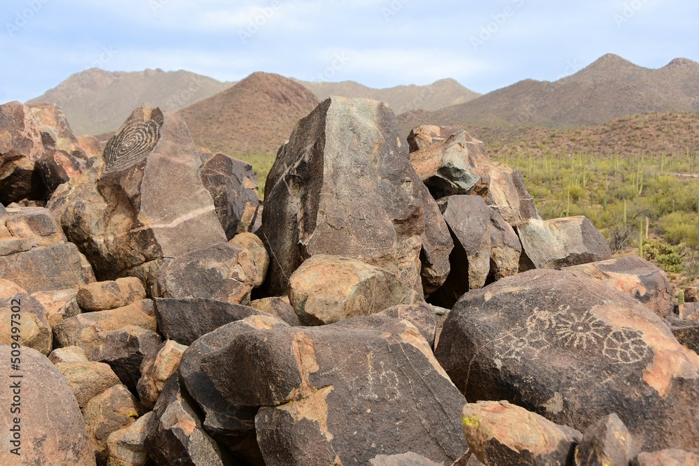 the ancient native american signal mountain petroglyphs on signal hill in the tucson mountain district of saguaro national park  near tucson in southern arizona