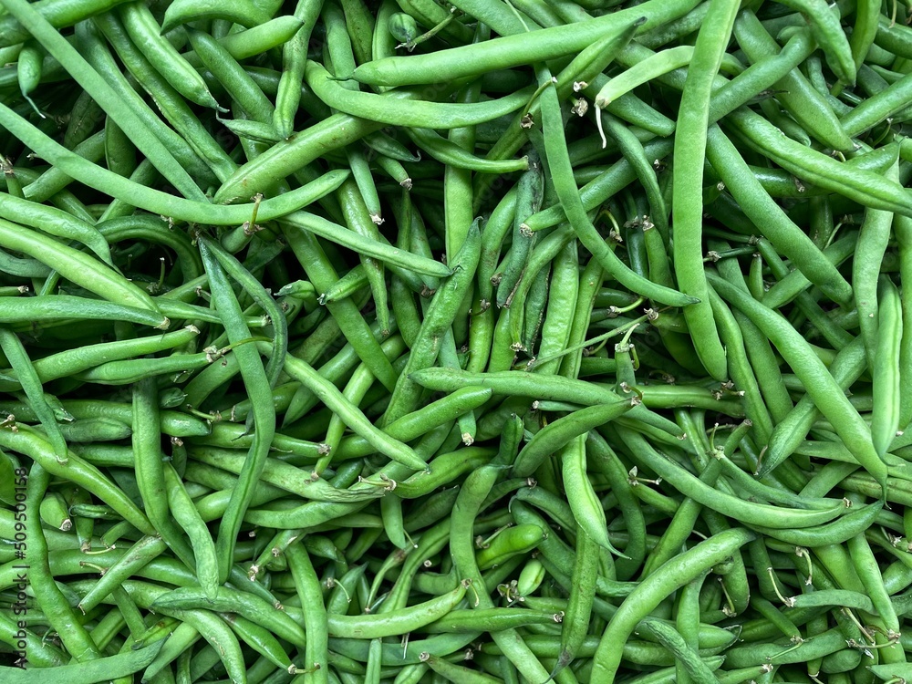 Vegetable Green beans in bulk at farmers market Vegetable Green beans in bulk at farmers market