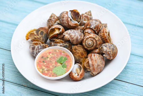 Konstfotografi Fresh  Spotted babylon Sea shell limpet ocean gourmet seafood in the restaurant,