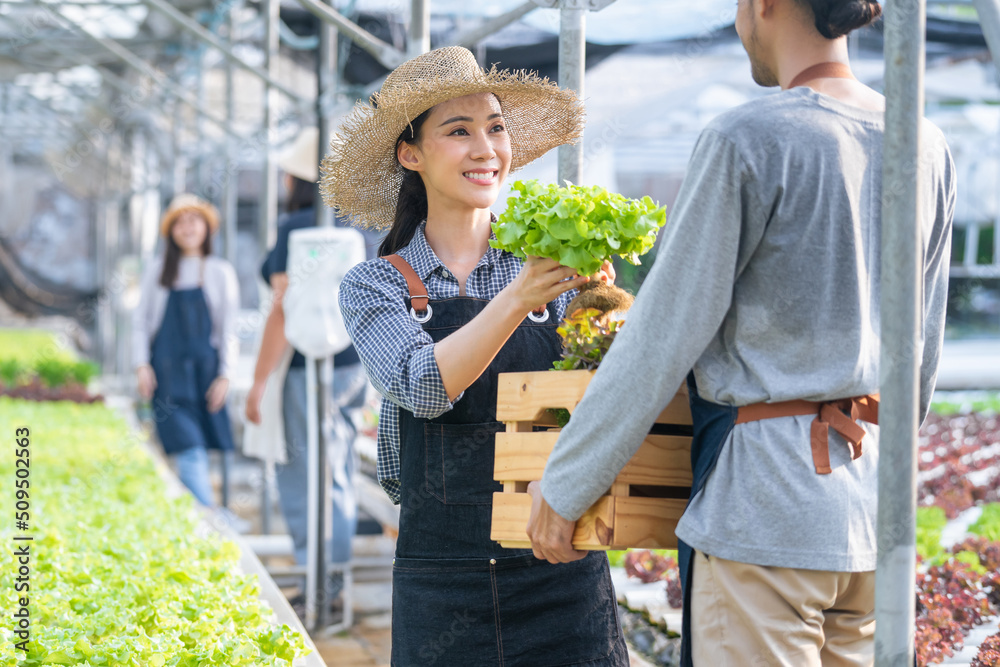 Naklejka premium Asian couple farmers work in vegetables hydroponic farm with happiness