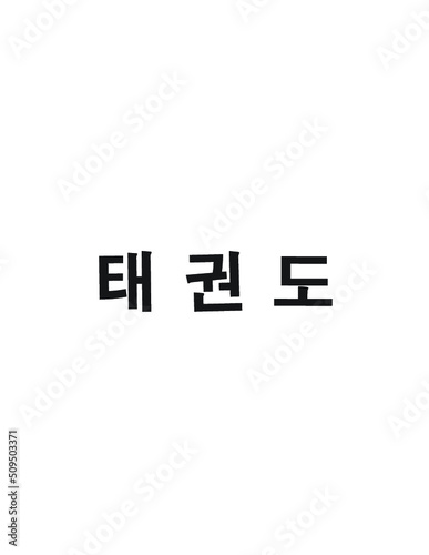 Taekwondo Written in Korean Hangul (Horizontal Bold)