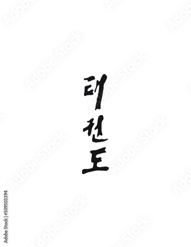 Taekwondo Written in Korean Hangul (Vertical Stylized Calligraphy) photo