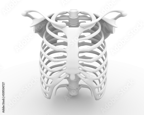 	anatomy, art, black, body, bone, cartoon, chest, design, drawing, drawn, graphic, halloween, health, heart, human, illustration, isolated, love, medical, radiology, rib, ribcage, science, shape, skel photo