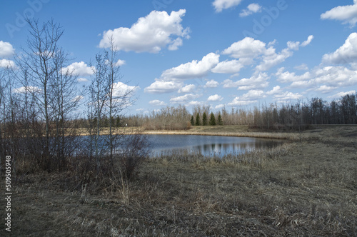 Pylypow Wetlands in the Early Spring