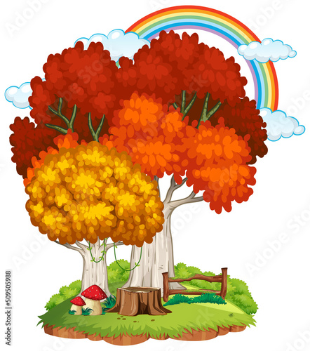 Autumn tree in nature with rainbow in the sky