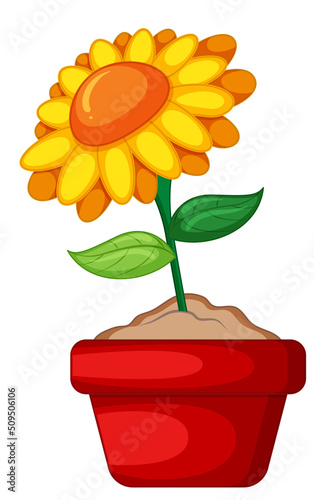 Yellow flowers in a pot in cartoon style