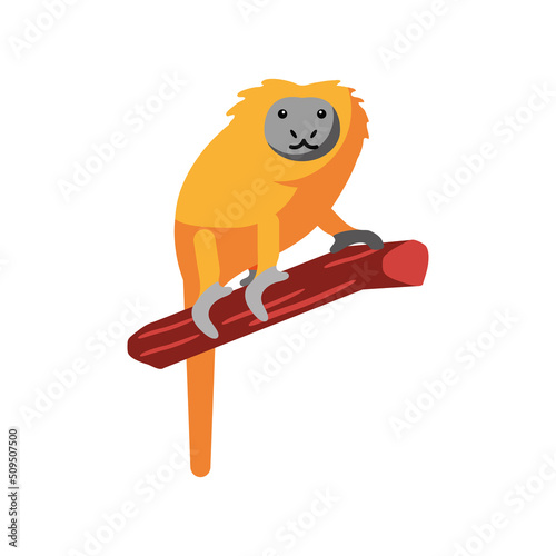 lion tamarin in branch