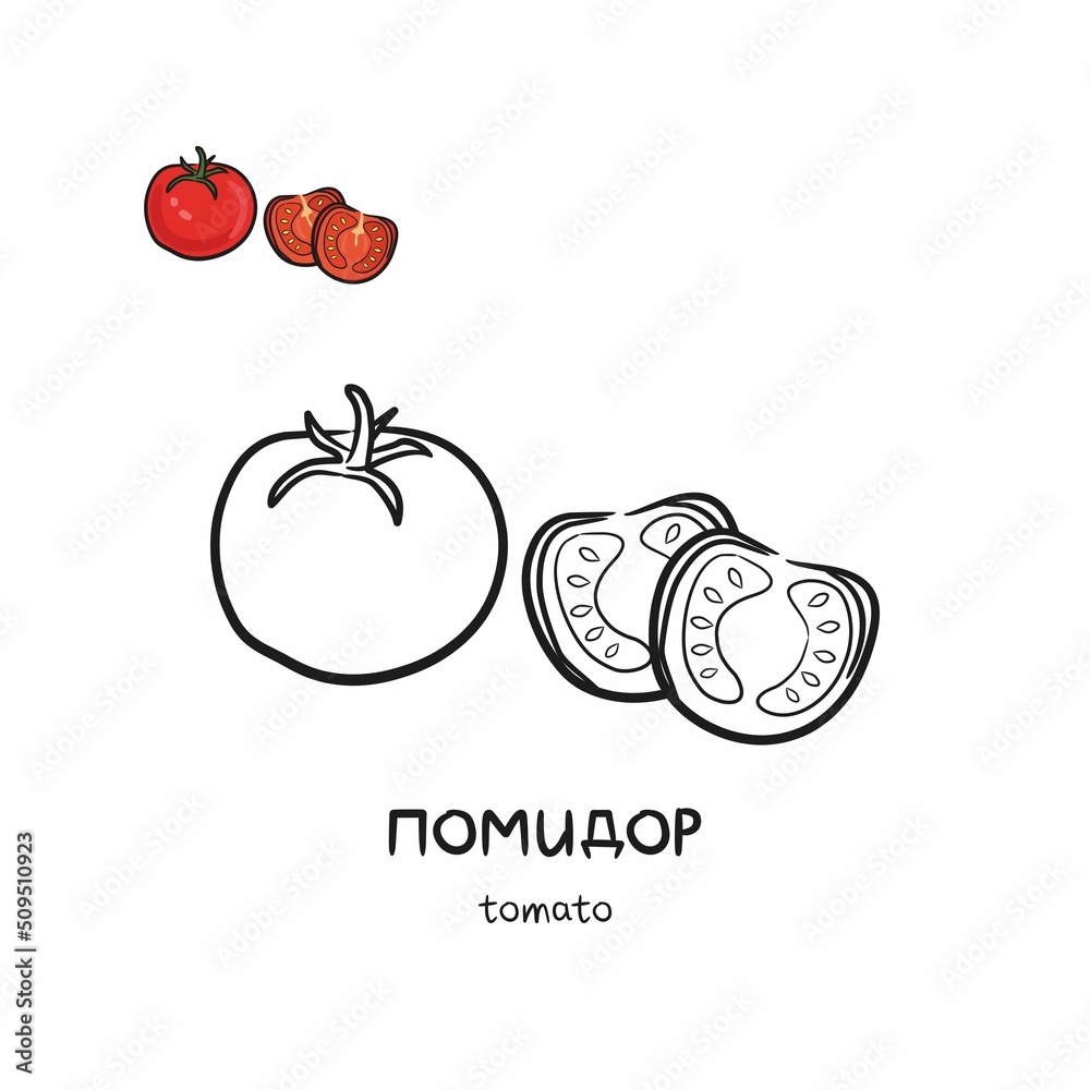 Grafika Wektorowa Stock Coloring Book With Tomato Linear Vector grafika-wektorowa-stock-coloring-book-with-tomato-linear-vector
