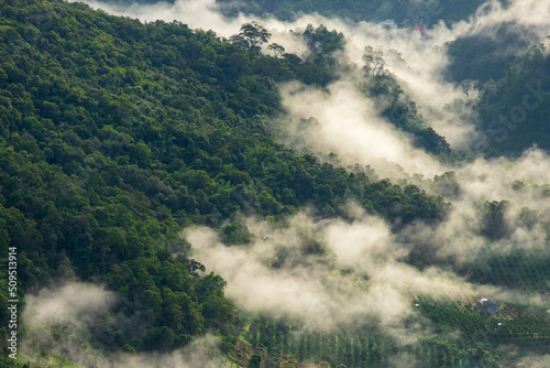 Top view Landscape of Morning Mist with Mountain Layer at north of Thailand © freedom_naruk
