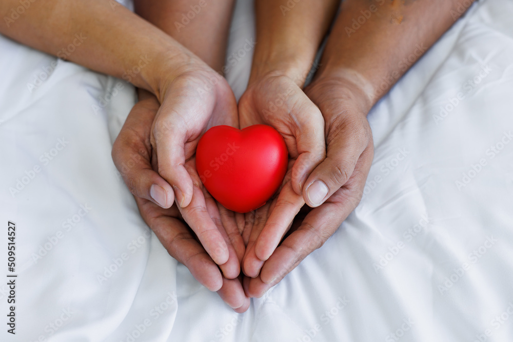 hands holding red heart, health care, love, organ donation, mindfulness, wellbeing, family insurance and CSR concept, world heart day, world health day, National Organ Donor Day, praying concept hands holding red heart, health care, love, organ donation, mindfulness, wellbeing, family insurance and CSR concept, world heart day, world health day, National Organ Donor Day, praying concept