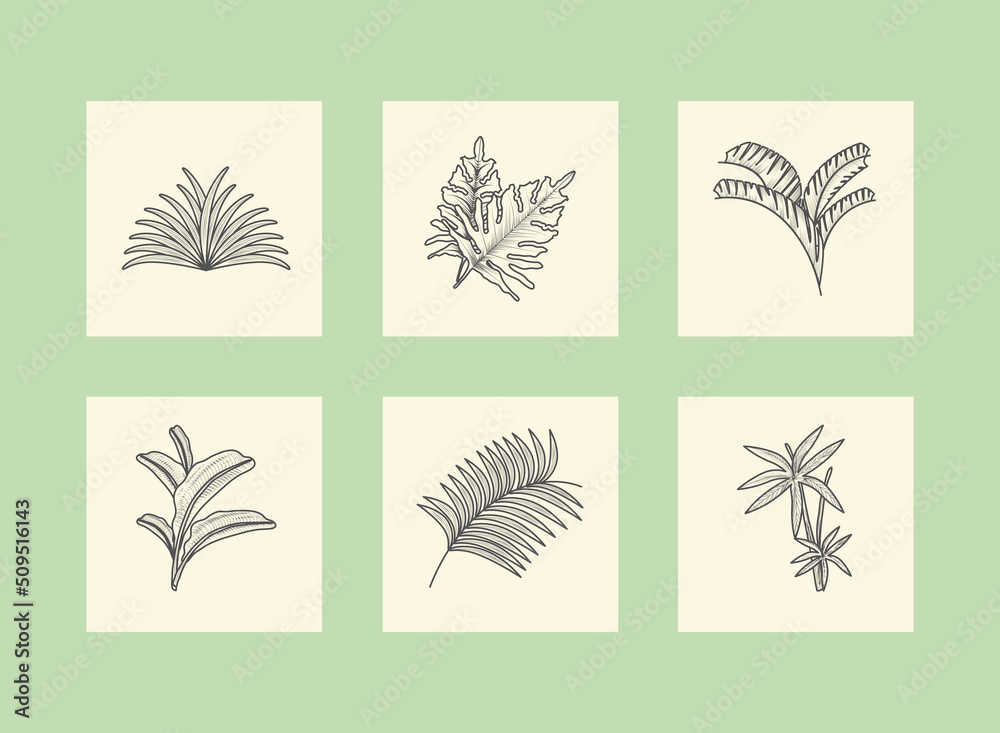 icons branches botanical icons branches botanical