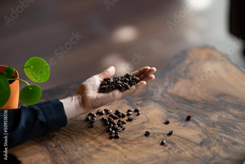 Coffee Beans in the Sunlight, Uskudar Istanbul Turkey photo