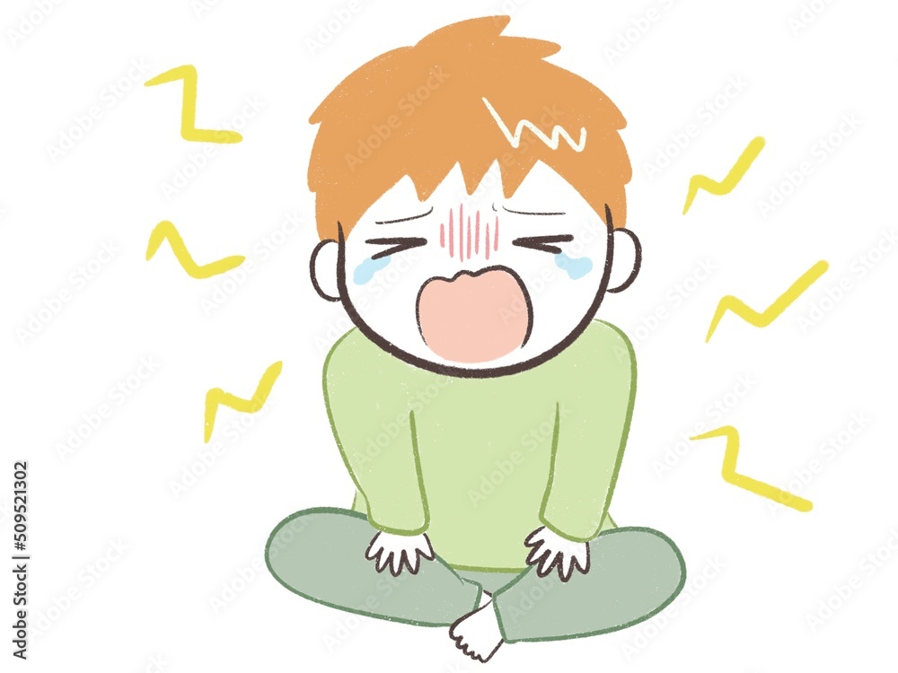 大声でわがままに泣き喚く男の子