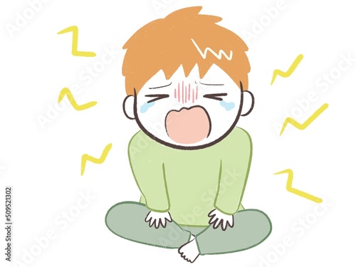 大声でわがままに泣き喚く男の子