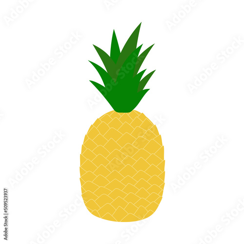 Hand drawn pineapple. Cartoon tropical fruit. Isolated vector illustration. 