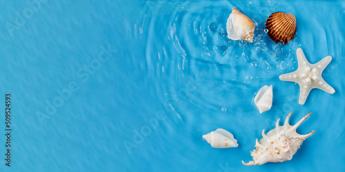 Various seashells and water ripples on a summer beach on a blue background at the top. Copy space