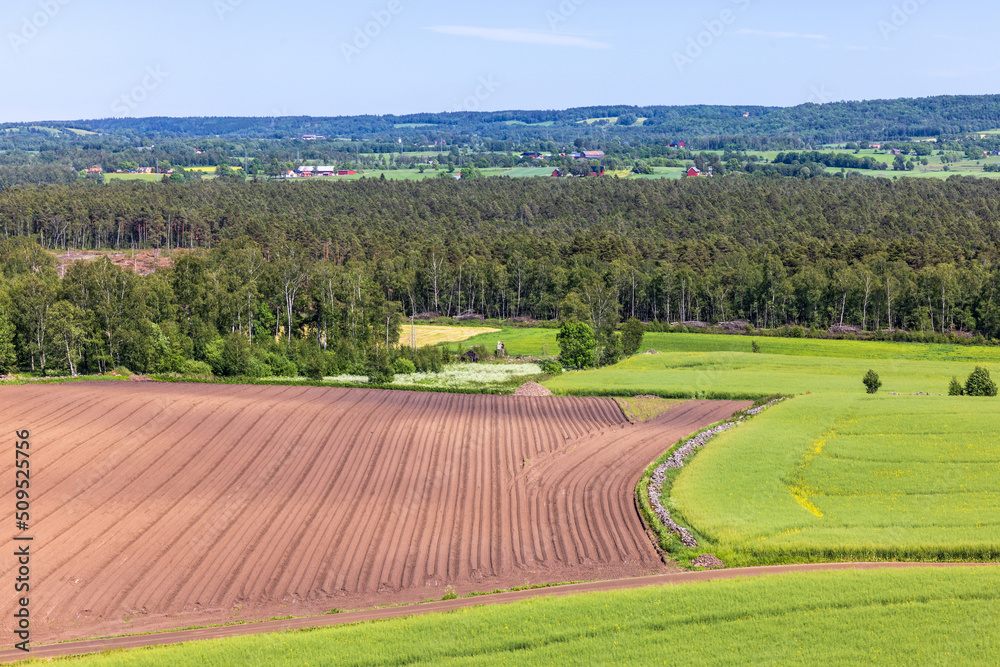 Plowed field in a rural landscape view