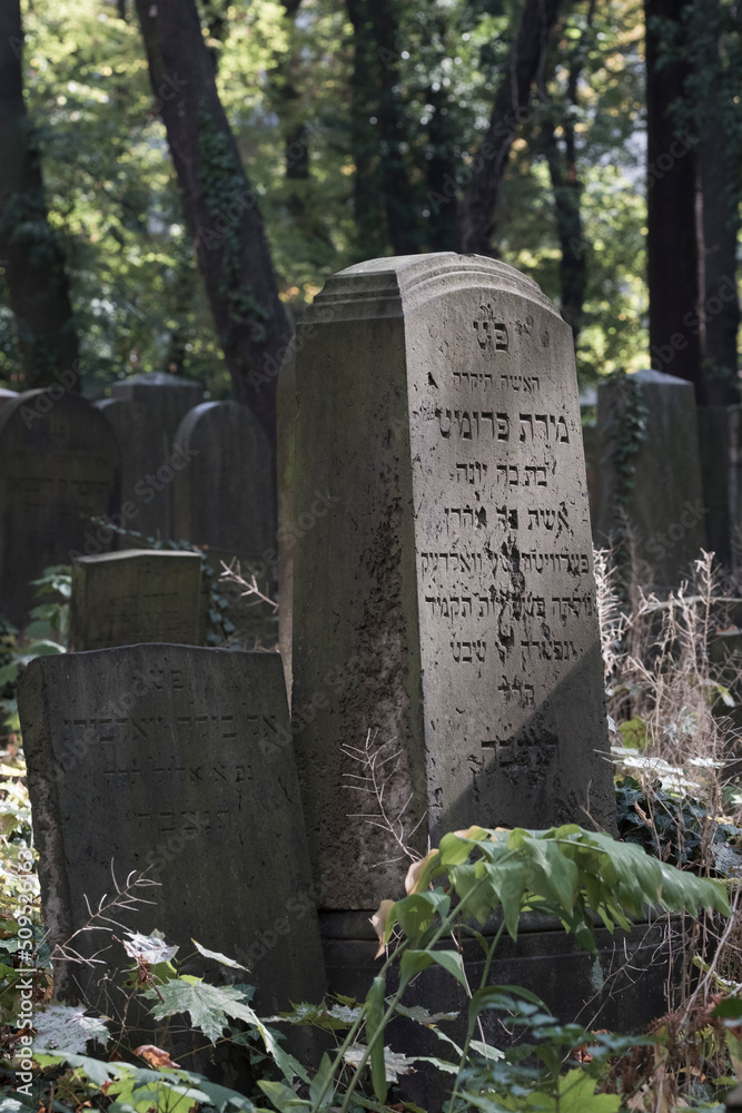 Fototapeta premium Jüdischer Friedhof an der Schönhauser Allee in Berlin Prenzlauer Berg. / Jewish cemetery on Schönhauser Allee in Berlin Prenzlauer Berg.