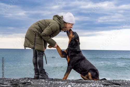 A dog in a collar sits on the beach and gives a paw to a woman in cold weather