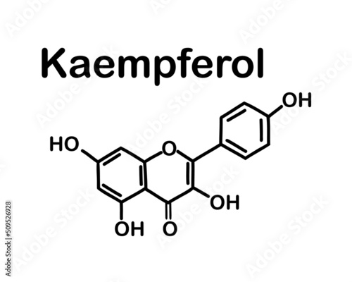 Kaempferol (3,4′,5,7-tetrahydroxyflavone) is a natural flavonol, a type of flavonoid. Chemical structure of Kaempferol . Vector illustration