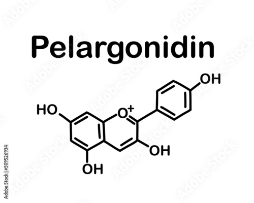Pelargonidin is an anthocyanin, a type of plant pigment. Chemical structure of pelargonidin. Vector illustration