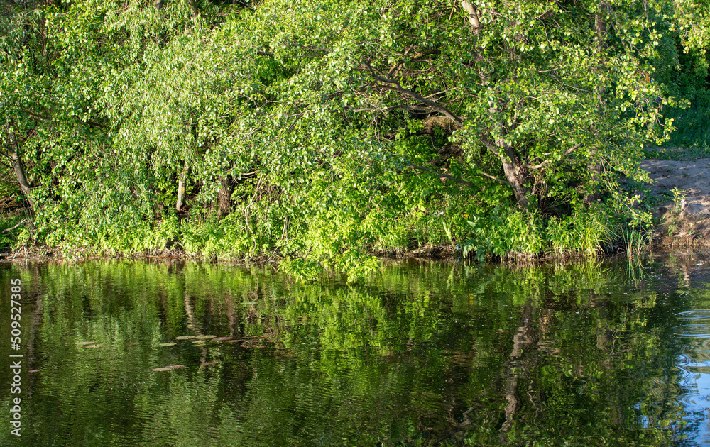 Nature, green trees and grass are reflected in the water. Nature, green trees and grass are reflected in the water.