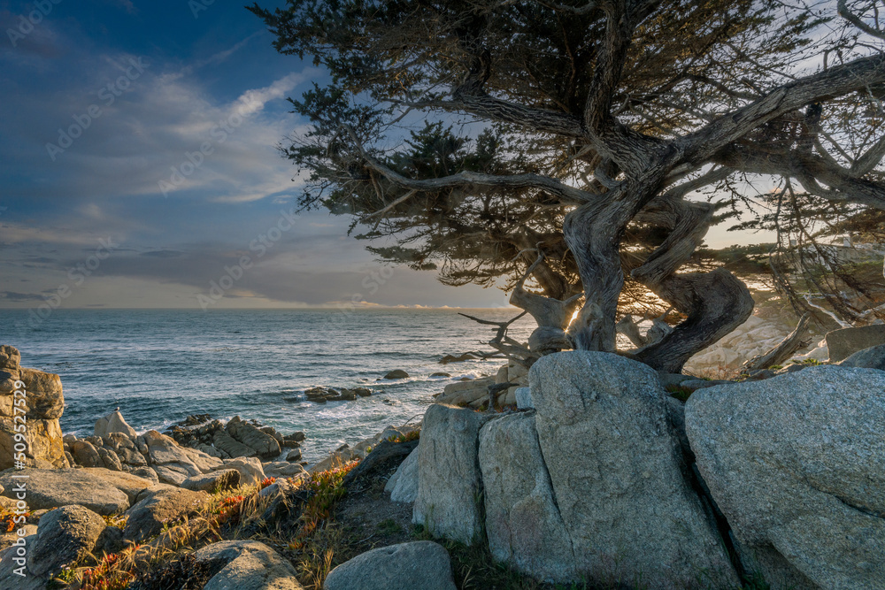 Monterey - view of the coast at sunset.