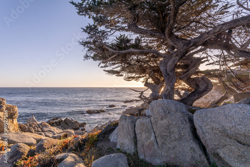 Monterey - view of the coast at sunset.