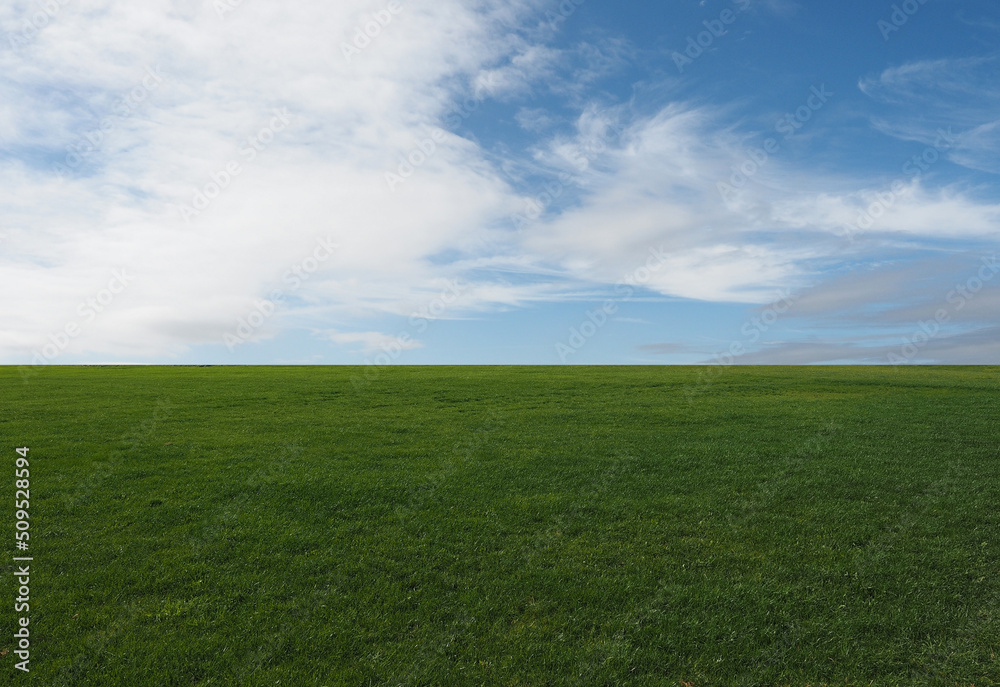 landscape with meadow and sky