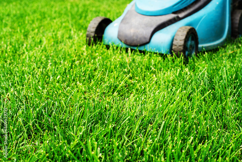 Mowed grass on the lawn against the background of a lawn mower. Foreground. selective focus