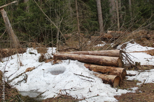 a stack of wooden lumber in the forest in spring