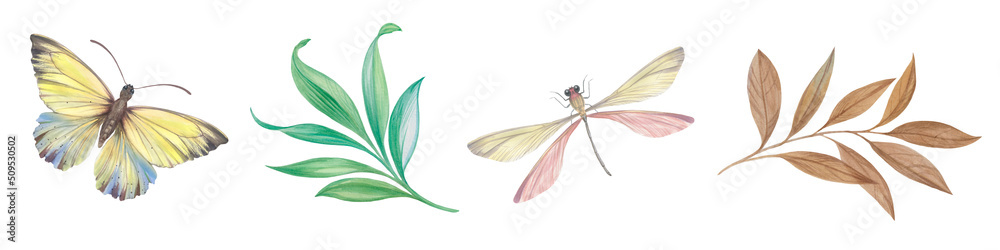 A set of branches with leaves, a dragonfly and a butterfly, painted in watercolor on paper. Isolate on a white background. A set of branches with leaves, a dragonfly and a butterfly, painted in watercolor on paper. Isolate on a white background.