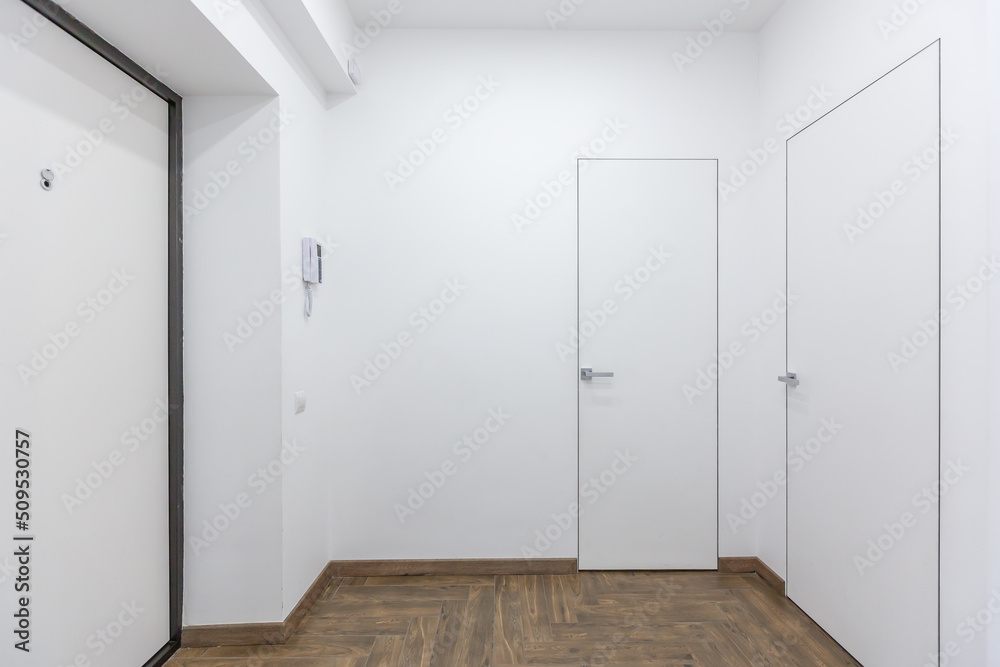Fototapeta premium Corridor in with white walls and doors in the apartment