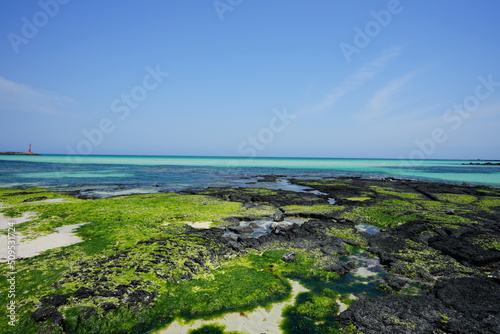 mossy rock beach and turquoise sea