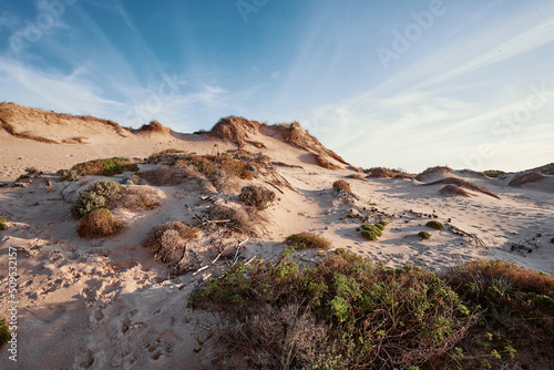 Wild sandy landscape, with part of Cresmina Dunes. Beautiful scenery in Portugal.