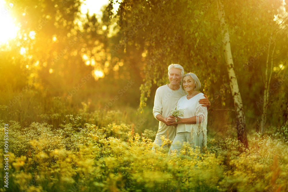 Fototapeta premium happy senior couple standing in summer park