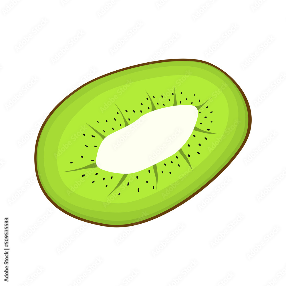 Sweet kiwi vegan fruit vector flat isolated illustration Sweet kiwi vegan fruit vector flat isolated illustration