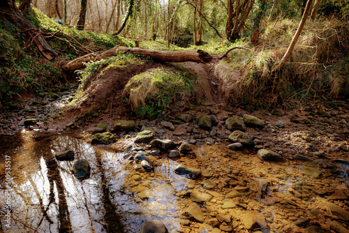 Castle Eden Dene, Durham, north east England, UK