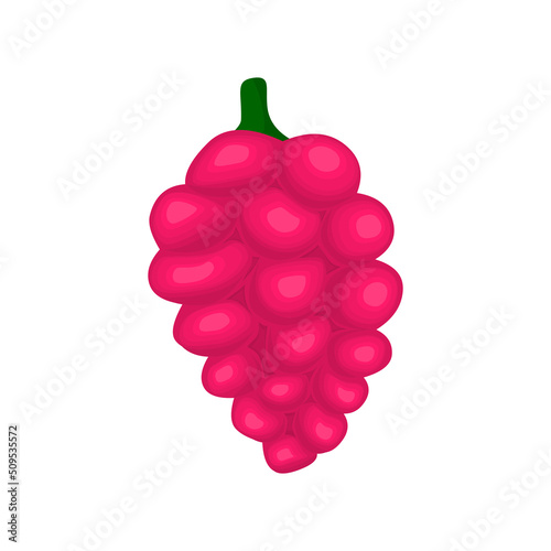 Sweet raspberry vegan berry vector flat isolated illustration