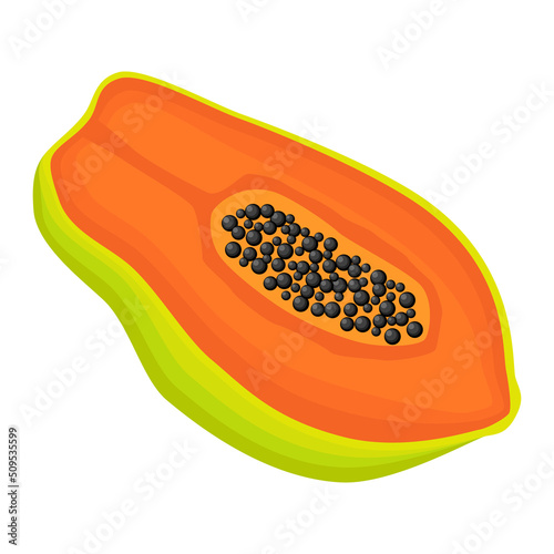 Exotic papaya vegan fruit vector flat isolated illustration